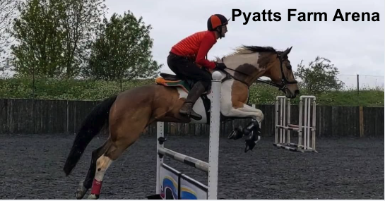 Pyatts Farm Arena  logo
